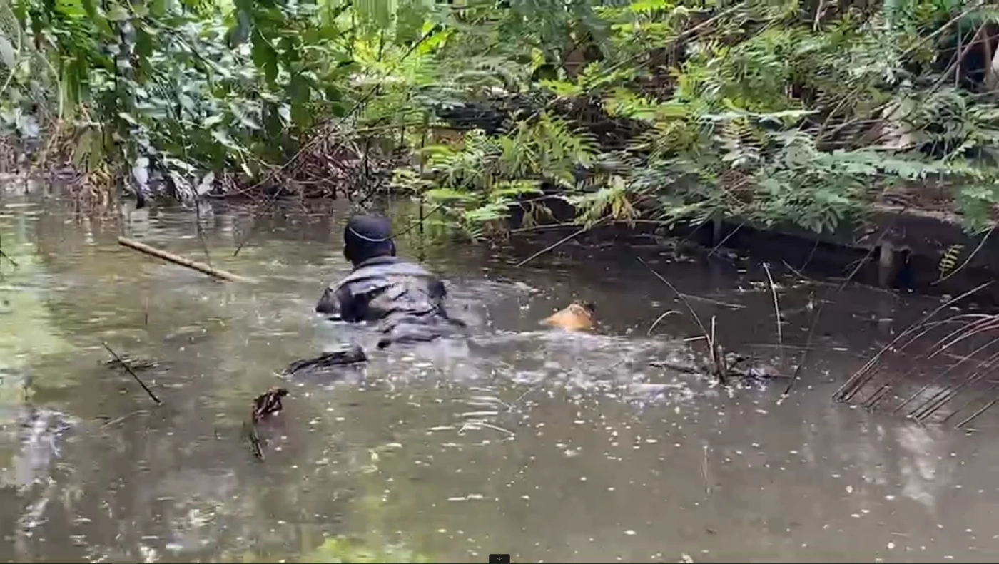 จระเข้ โผล่คูน้ำกลางบ้านพัก ซอยเจริญกรุง 107