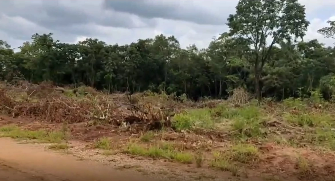 แฉ “อดีตนักการเมือง – นายทุน” รุกป่าสาธารณะนับ 100 ไร่ เตรียมทำรีสอร์ท