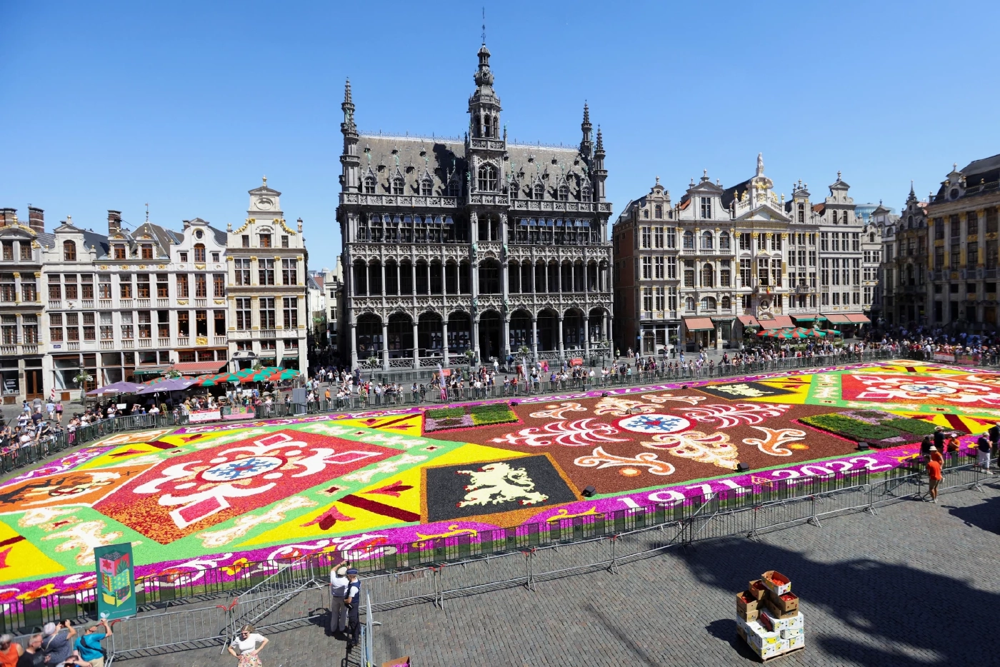 ประมวลภาพเทศกาล "พรมดอกไม้" ในเบลเยียม งดงามเหนือคำบรรยาย