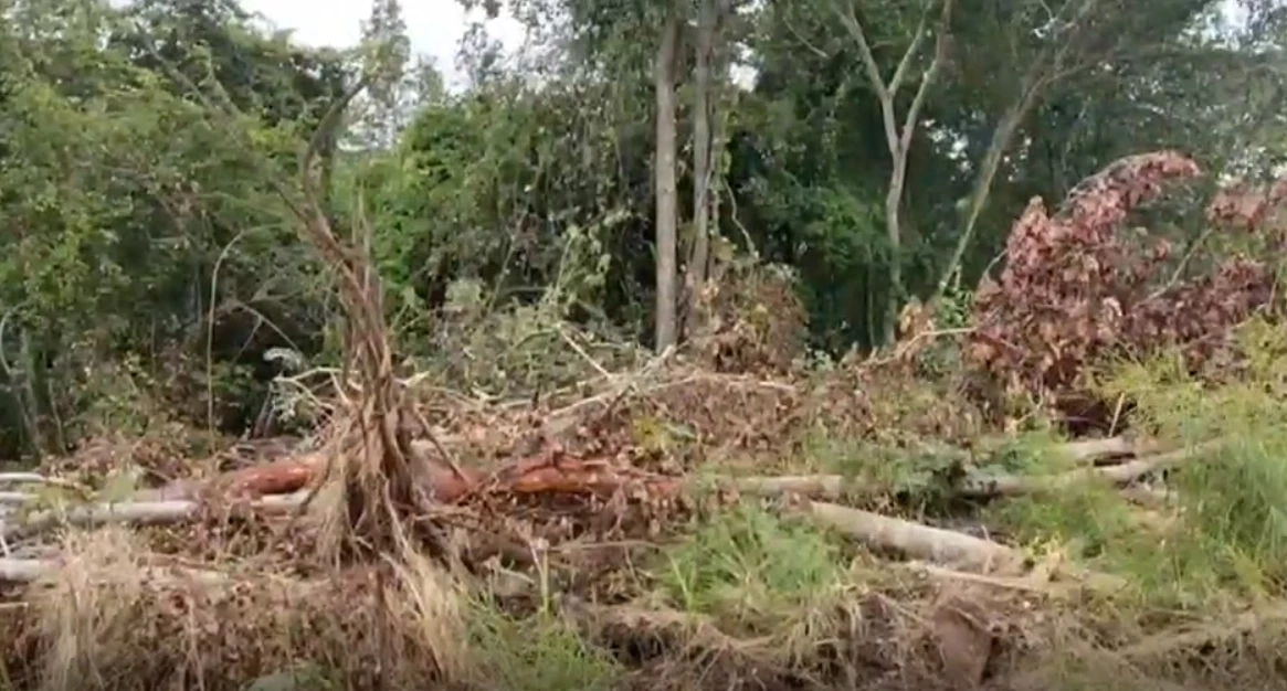 แฉ “อดีตนักการเมือง – นายทุน” รุกป่าสาธารณะนับ 100 ไร่ เตรียมทำรีสอร์ท