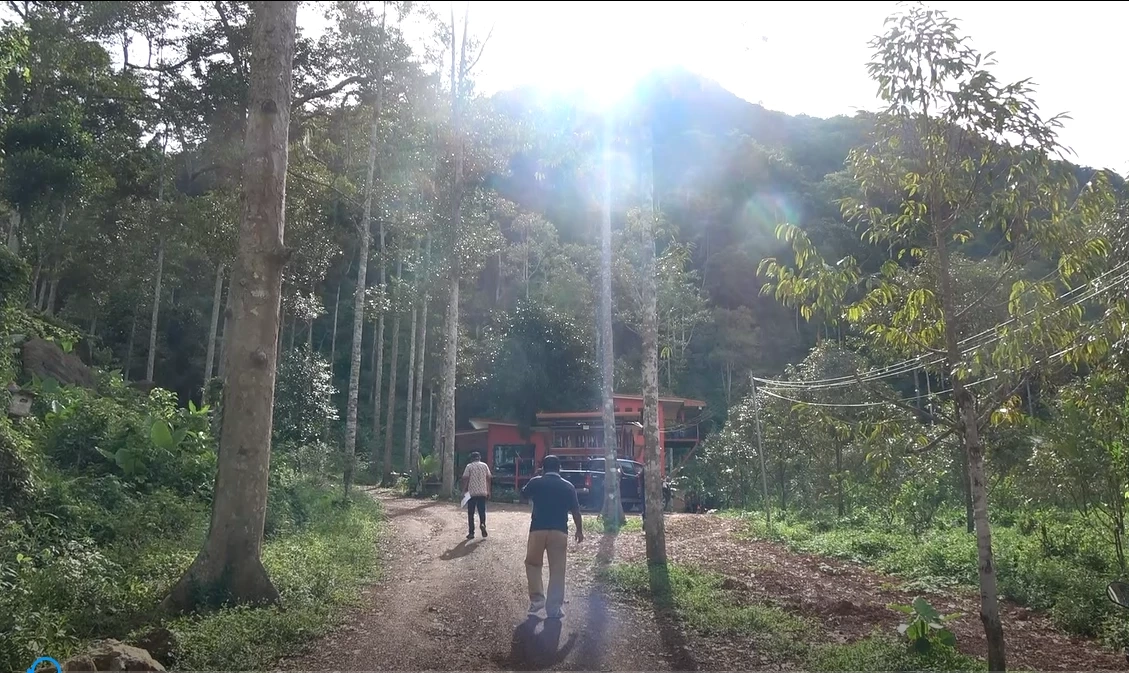 ชาวบ้านผวา ลิงยักษ์ไล่กัดคนแล้วเจ็บนับสิบ ขนาดไม่กล้าออกกรีดยาง (มีคลิป)