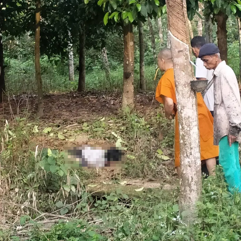 ระเบิด 2 ลูกซ้อนกลางสวนยางนราธิวาส ทหารพรานพลีชีพ 1 นาย