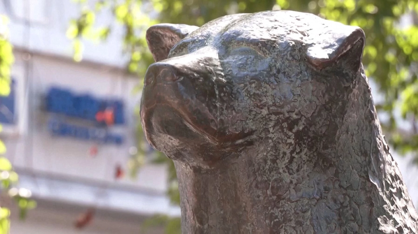 ชาวชิบุยะตื่นเต้นสุนัขอาคิตะ 3D บนจอยักษ์