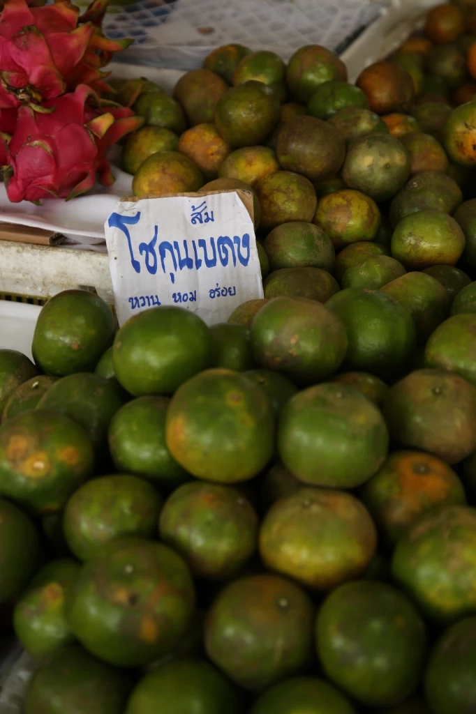 ส้มโชกุน