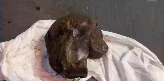 คนเร่ร่อนฆ่าโหดลุงหาหอย ใช้หินทับไว้ใต้น้ำ นั่งเฝ้านับสิบ ชม. เพื่ออำพราง