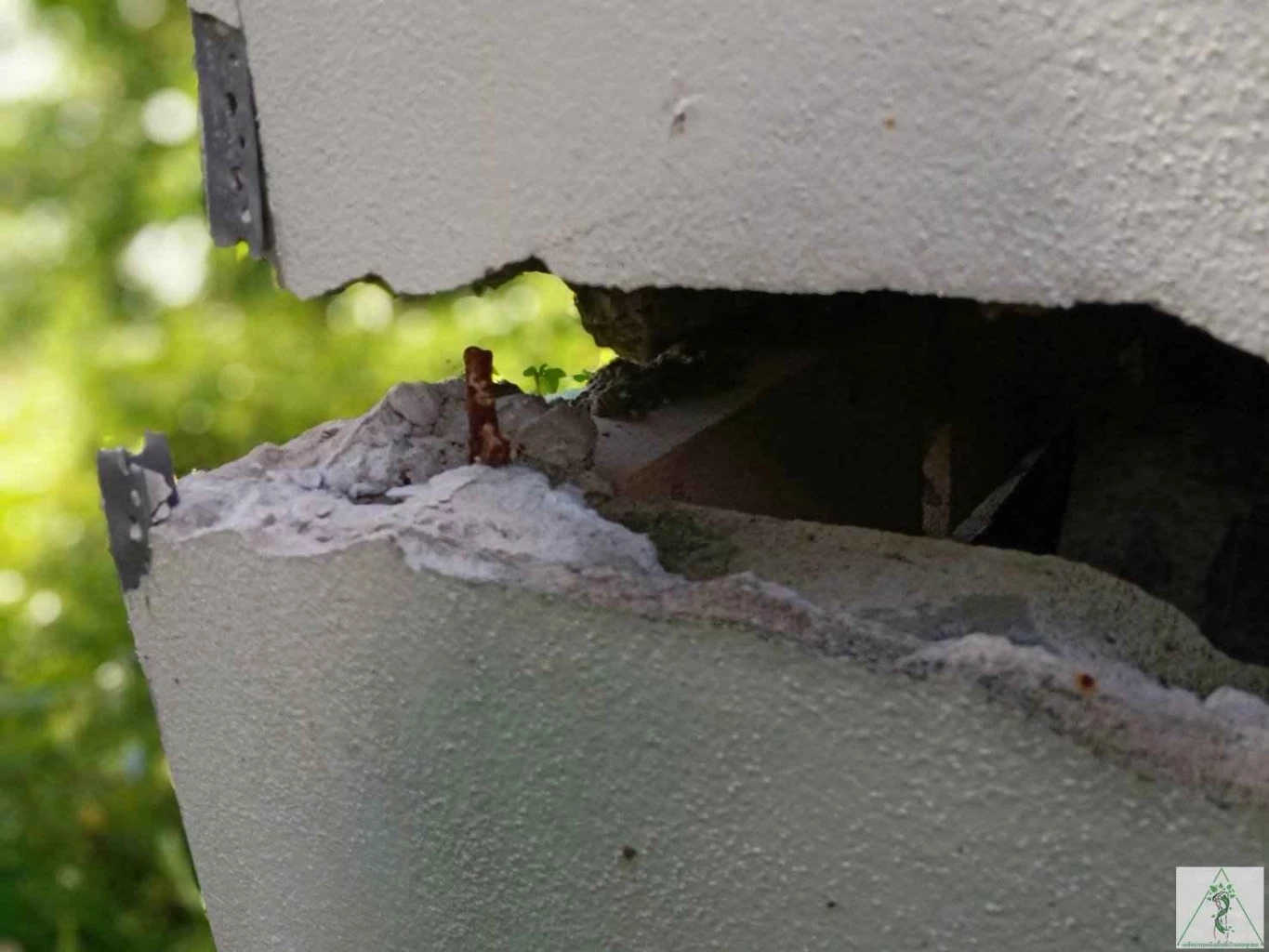 ฝนถล่ม ทำบ้านป่าแหว่งทรุด ชาวเน็ตแซวคนเอาคืนไม่ได้ธรรมชาติเอาคืนเอง