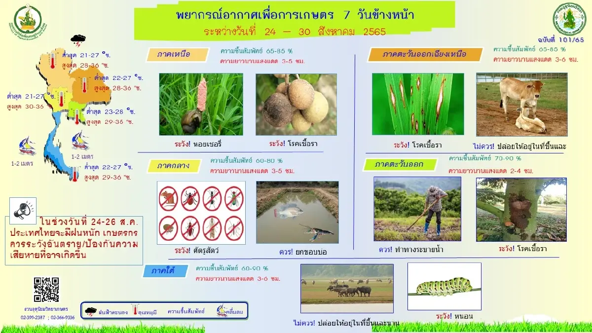 "กรมอุตุฯ" พยากรณ์อากาศ 7 วันข้างหน้า ทั่วไทย"ฝนตกหนักมาก" 24-26 ส.ค.นี้