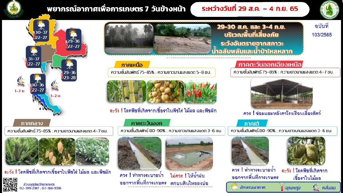 กรมอุตุฯ พยากรณ์ 7 วันข้างหน้า เตือน"ฝนตกหนักถึงหนักมาก" ช่วง 4–6 ก.ย.นี้