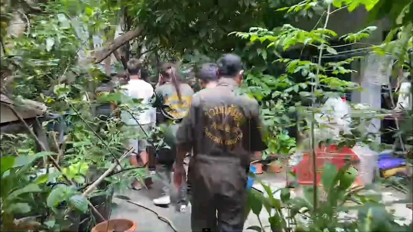 จระเข้ โผล่คูน้ำกลางบ้านพัก ซอยเจริญกรุง 107