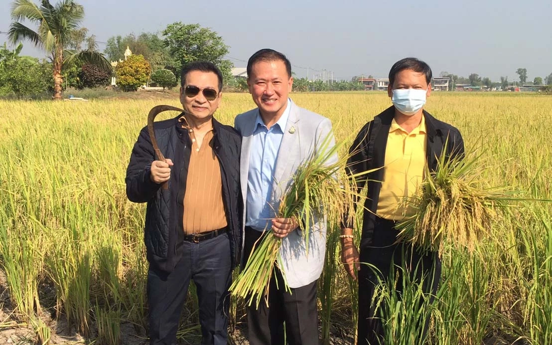 "ชัช เตาปูน” ลุยนาที่อยุธยา เกี่ยวข้าวที่ปลูกไว้แจกจ่ายช่วยเหลือคนยากจน