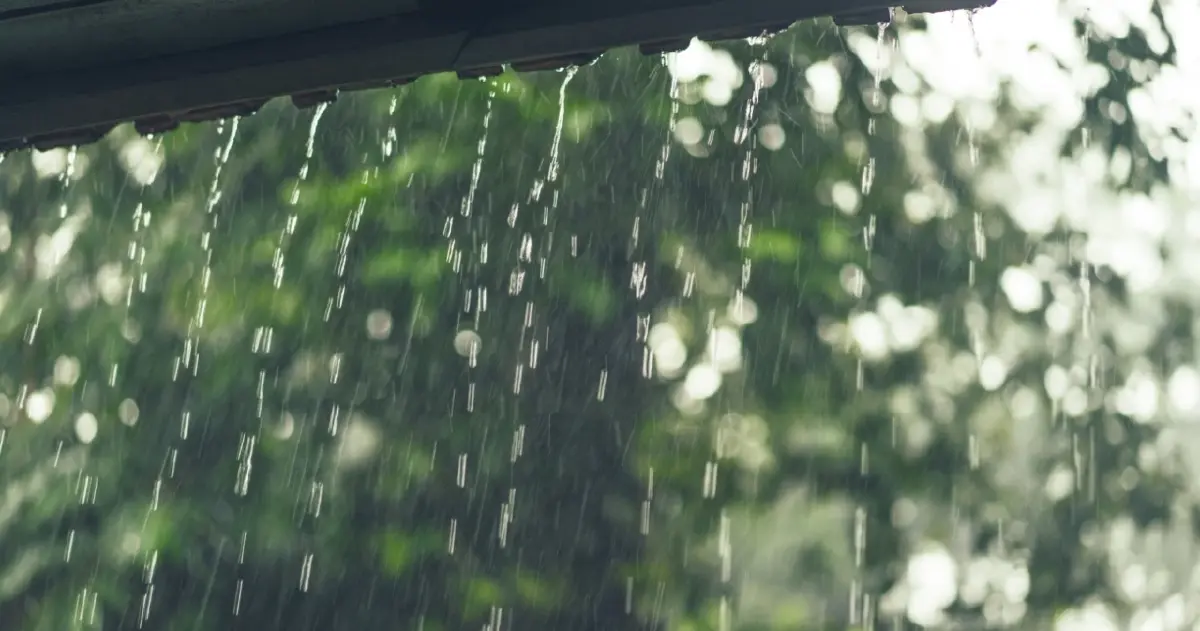 "กรมอุตุ" ประกาศฉบับ 5 เตือน ฝนตกหนักถึงหนักมาก ตั้งแต่ 20-22 ส.ค. นี้