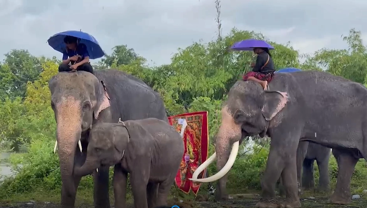 เผาแล้วร่างน้องฟิล์ม พ่อแม่ยันทำยูทูบต่อ เชื่อสุพรรษารับรู้ทุกอย่าง