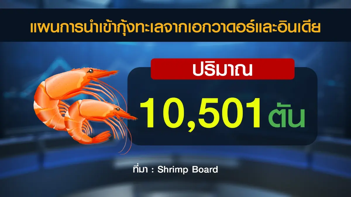 บอร์ดกุ้งยัน 'นำเข้า' ช่วงผลผลิตในประเทศขาดแคลน