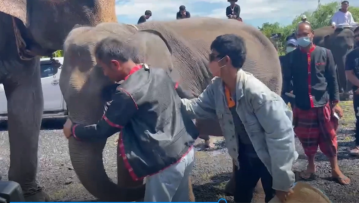 มหัศจรรย์เผาร่าง "น้องฟิล์ม" เพื่อน - สุพรรษา ร่วมร้องเพลงอาลัย (มีคลิป)