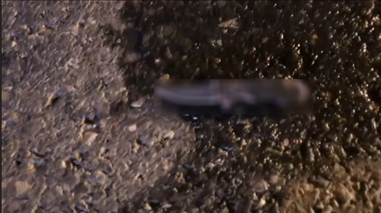 ตกอยู่ข้างศพครู