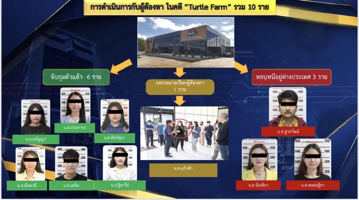 ขยายผลคดี Turtle Farm จับเพิ่ม 2 รายยึดอีก 100 ล้าน