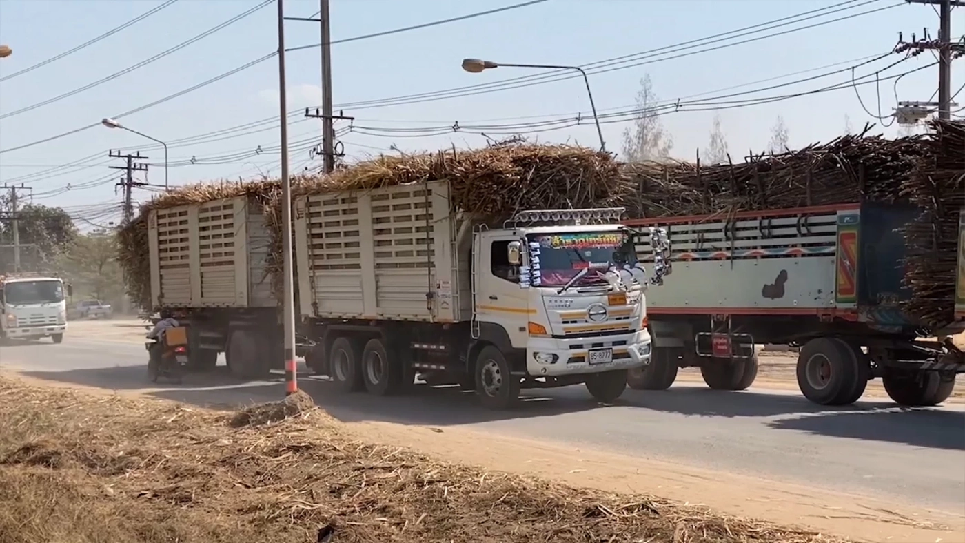 ชาวไร่อ้อยเดือดทวงเงินช่วยเหลือตัดสดพร้อมลุยทำเนียบหากไม่มีข้อสรุป