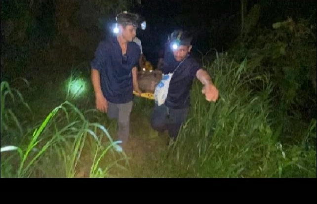 ช้างละมุด ช้างป่า ขณะช่วยเหลือเจ้าหน้าที่ป่าไม้ ทนพิษบาดแผลไม่ไหวเสียชีวิตในเวลาต่อมา