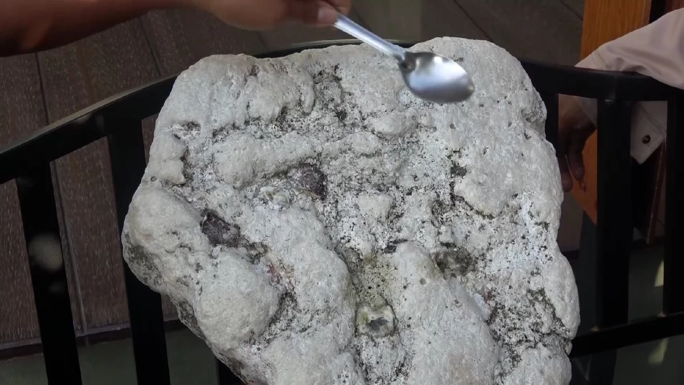 อำพันทะเล หรือ อ้วกปลาวาฬ 