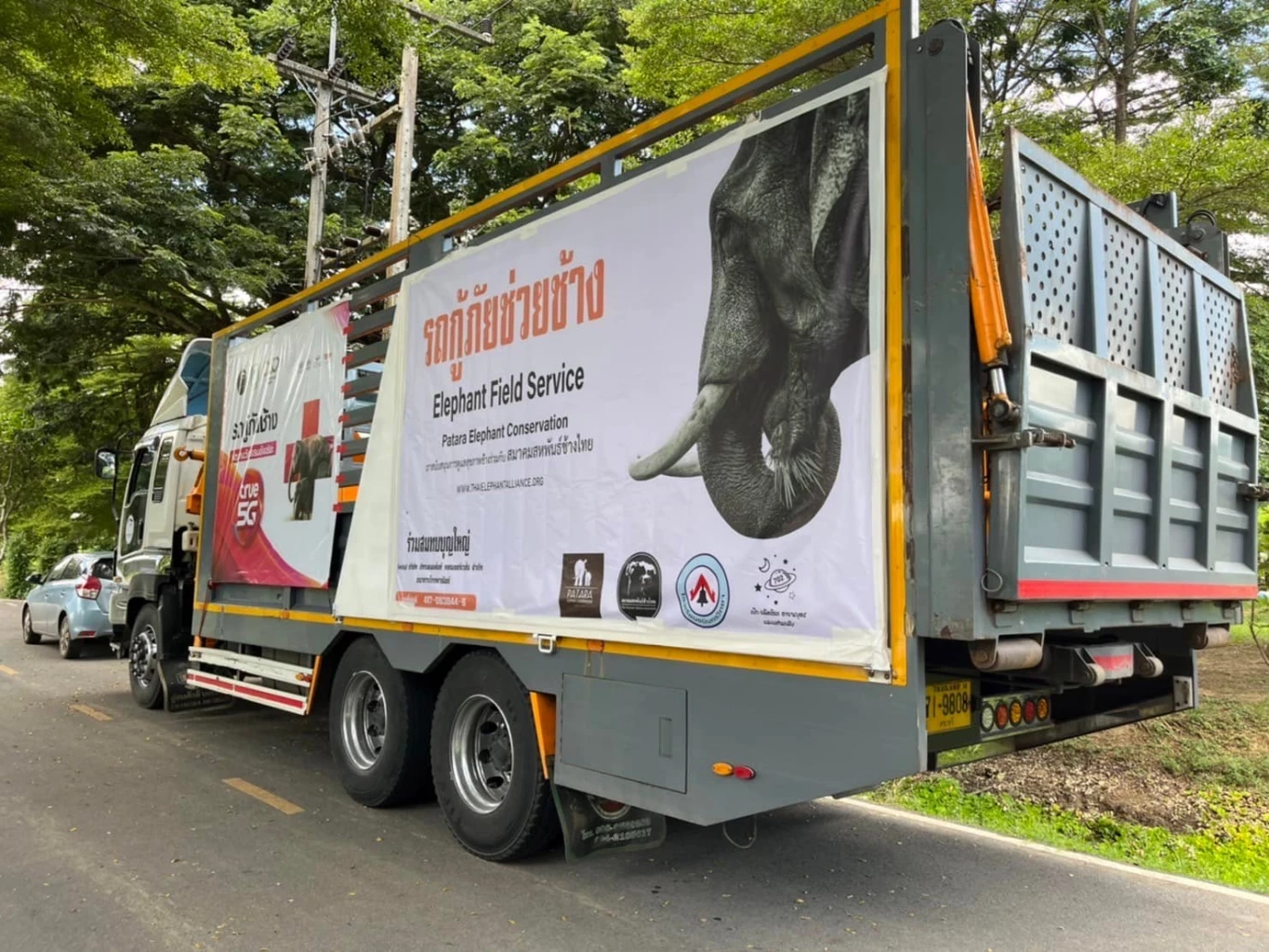 หวิดเศร้า รถขนช้างพลิกคว่ำที่แม่แจ่ม ช้างหมดสติไปพักใหญ่ โชคดีที่ฟื้น