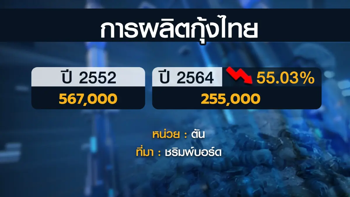 บอร์ดกุ้งยัน 'นำเข้า' ช่วงผลผลิตในประเทศขาดแคลน