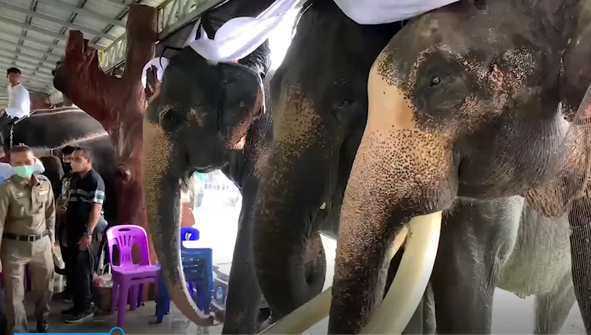 มหัศจรรย์เผาร่าง "น้องฟิล์ม" เพื่อน - สุพรรษา ร่วมร้องเพลงอาลัย (มีคลิป)