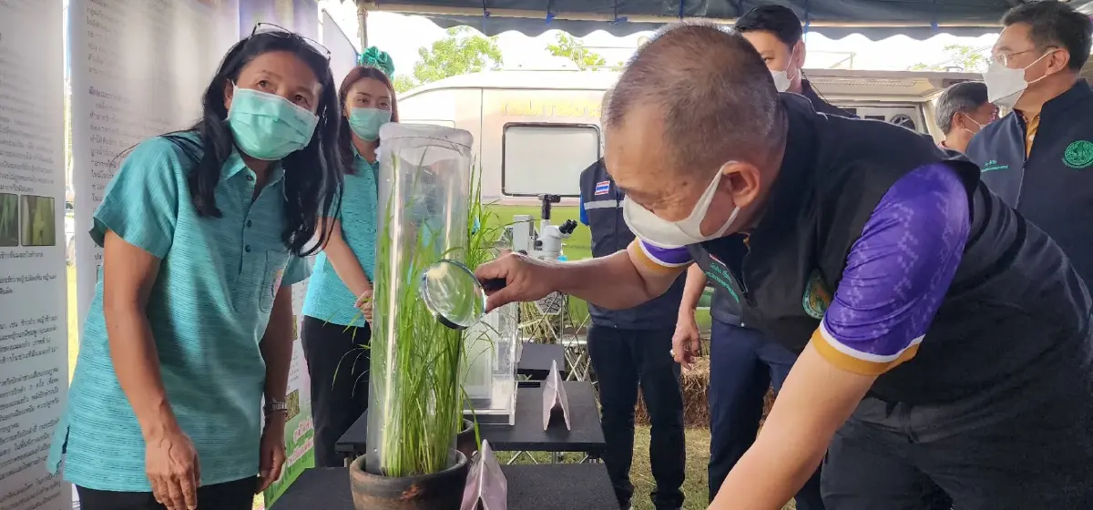 งานเทคโนโลยีผลิตเมล็ดพันธุ์ข้าว ฉลองเกษตรอินทรีย์ม่วงสามสิบ 139 ปี