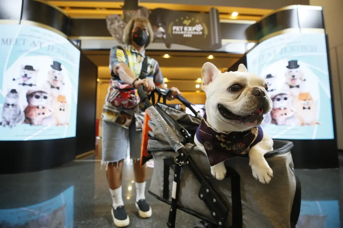 เริ่มแล้ว!  "PET EXPO 2022" งานคนรักสัตว์