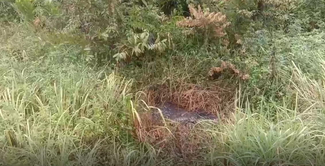 จับแล้วคนร้าย “ยิงนักเรียนม.6”  ดับ 3 ราย เผารถวอด สารภาพทำเพราะหลอนยา (คลิป)