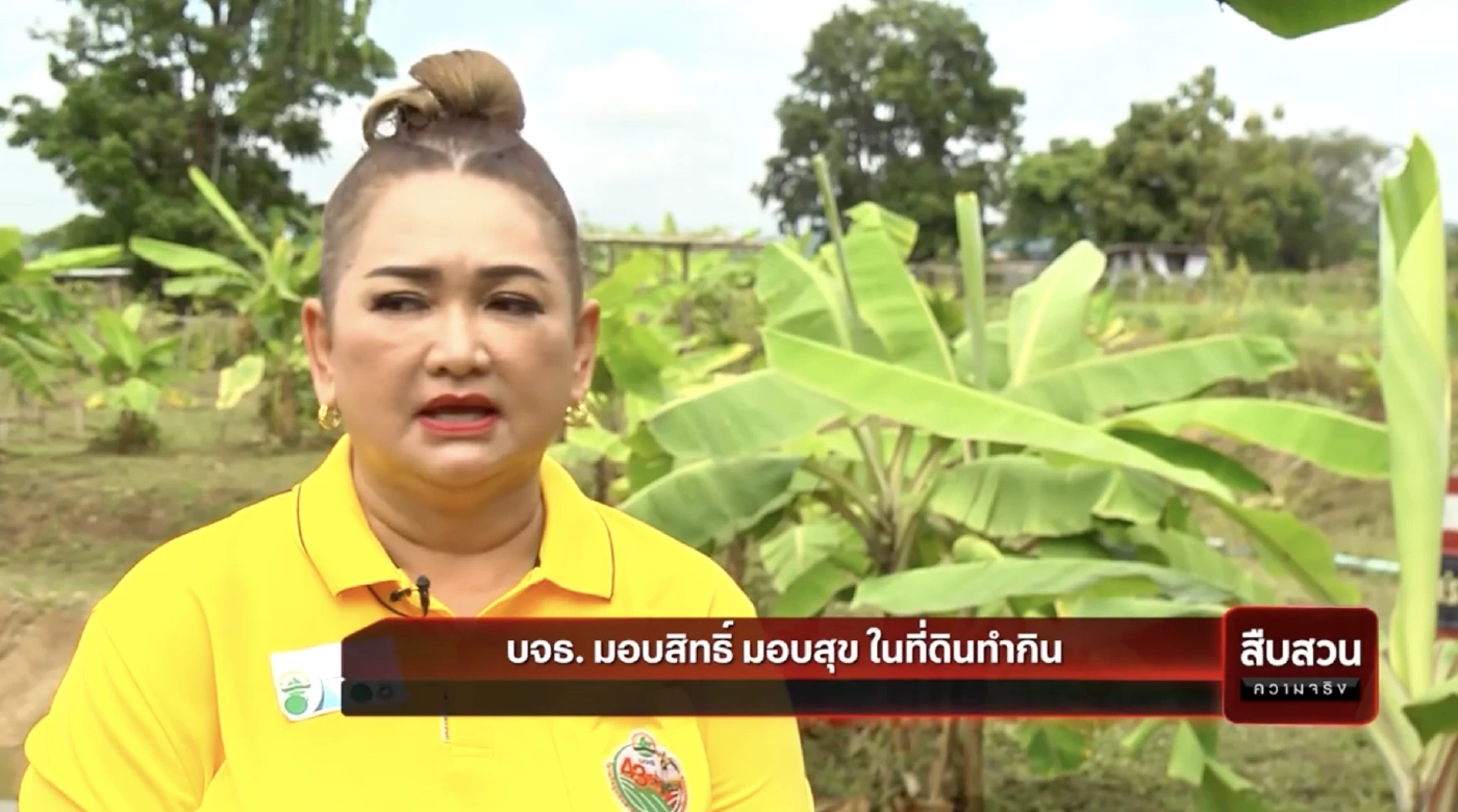 สืบสวนความจริง : บจธ. มอบสิทธิ มอบสุข ในที่ดินทำกิน