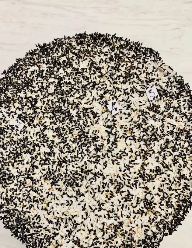 ให้เเล้ว เลขกระดิ่งเงิน กระดิ่งทอง “แม่อ๋อม สกาวใจ” งวด 16/09/65 เห็นชัดจริงๆ