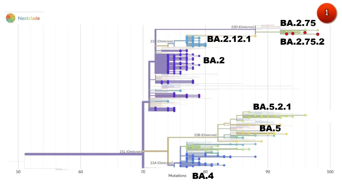 ศูนย์จีโนม เผย "โอมิครอน BA.2.75.2" พบแล้วในไทย 1 ราย แพร่ไวกว่า BA.5 ถึง 90%