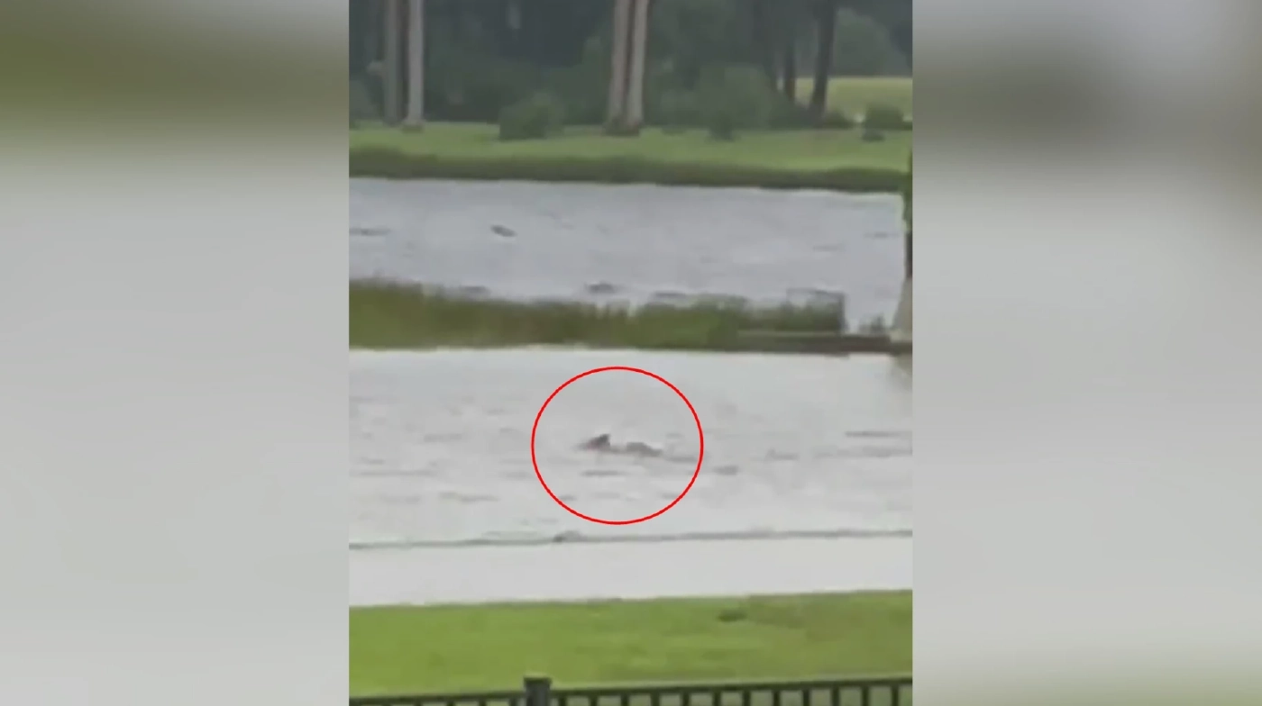 สภาพความเสียหายจากเฮอร์ริเคนเอียน-ฉลามโผล่ (คลิป)