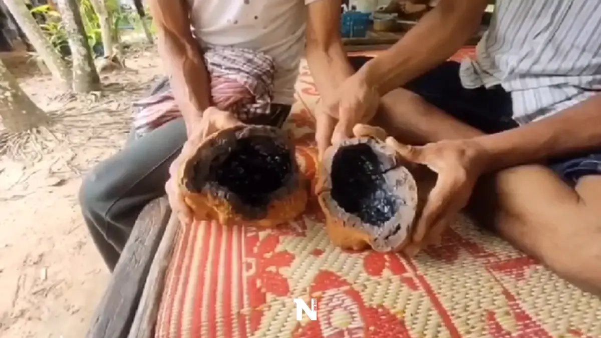 สุดปัง พบเหล็กไหลงอกในก้อนหินมีคนเสนอซื้อ 100 ล้าน (มีคลิป)