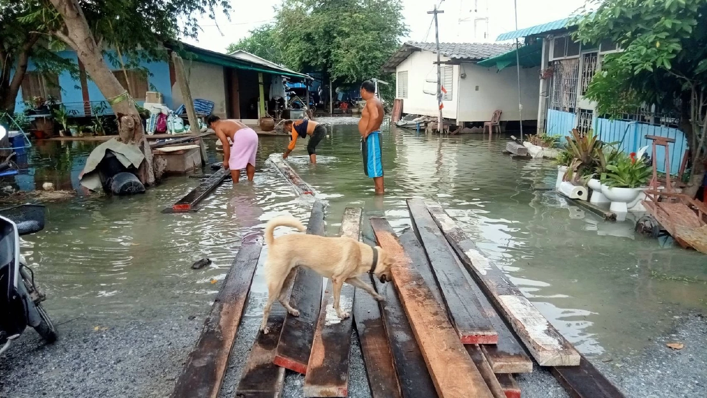 แม่น้ำท่าจีนนครปฐมวิกฤต จนท. ขึ้นธงแดง เตือน ปชช. เตรียมขนของขึ้นที่สูง