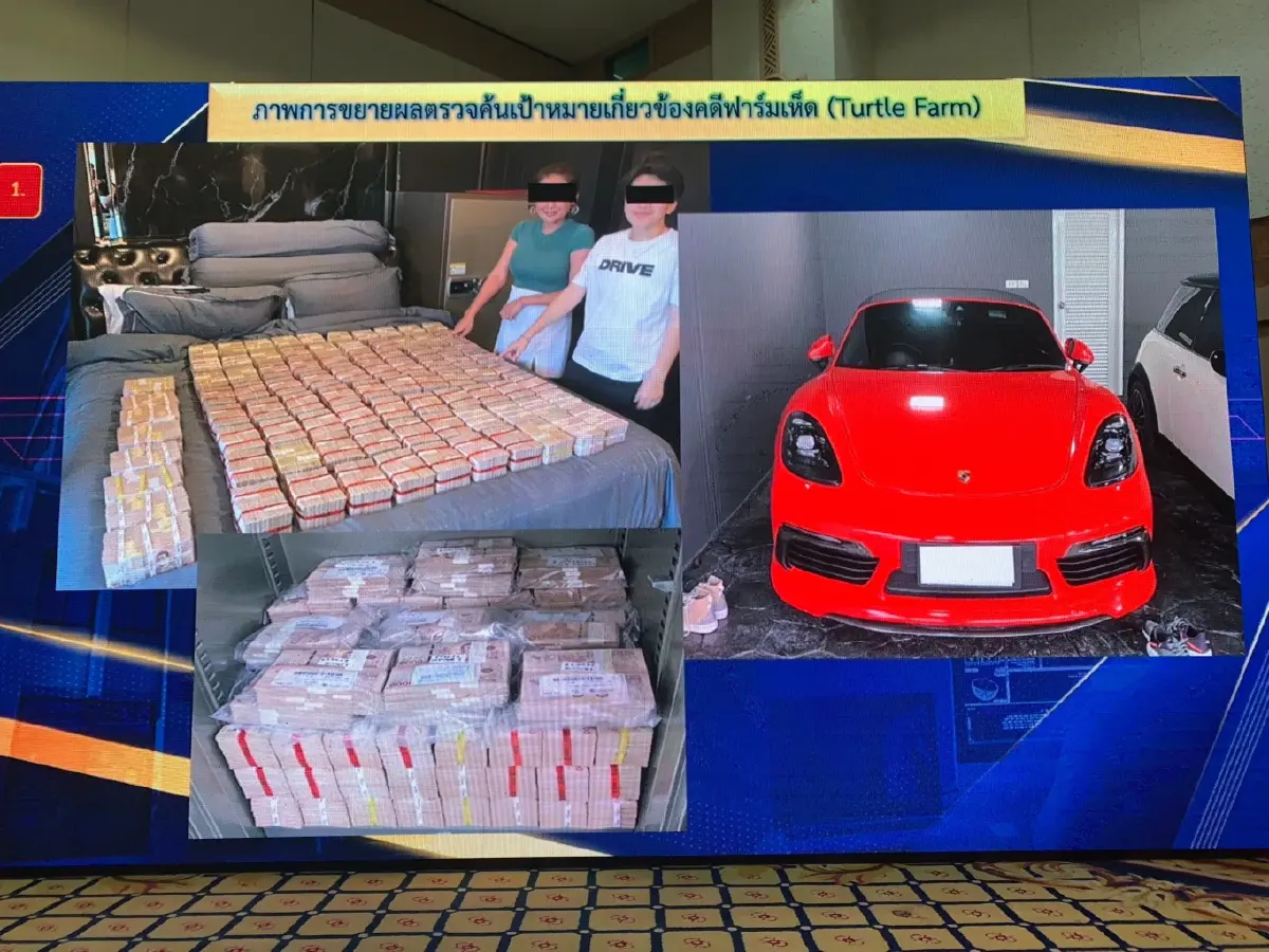ขยายผลคดี Turtle Farm จับเพิ่ม 2 รายยึดอีก 100 ล้าน