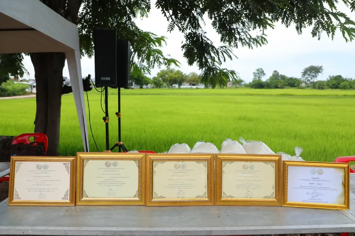 "กรมการข้าว" เยือน วิสาหกิจชุมชน บ้านโสก เยียมชมการผลิตข้าวคุณภาพส่งออก