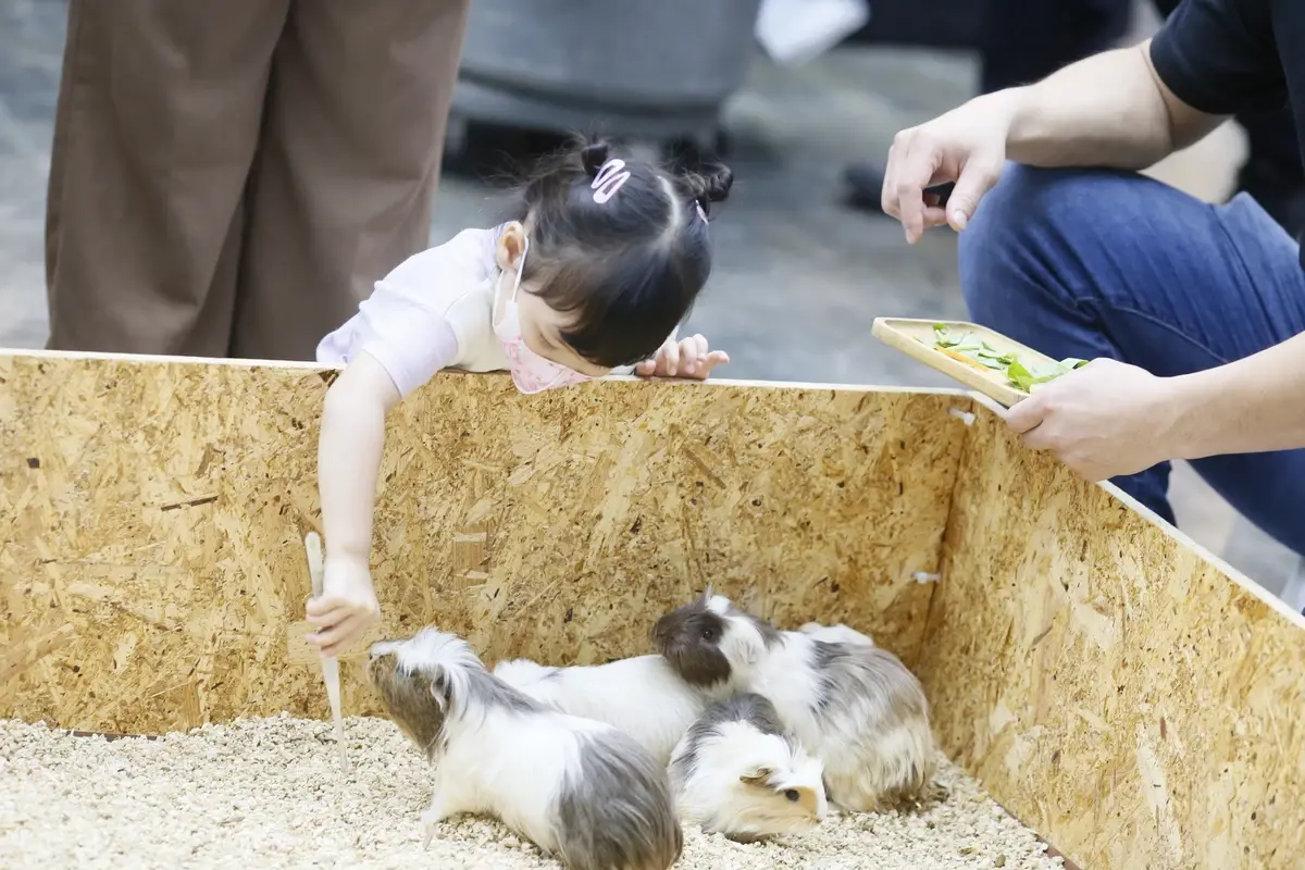 เริ่มแล้ว!  "PET EXPO 2022" งานคนรักสัตว์