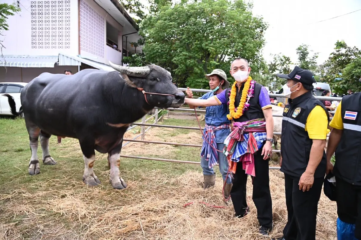 งานเทคโนโลยีผลิตเมล็ดพันธุ์ข้าว ฉลองเกษตรอินทรีย์ม่วงสามสิบ 139 ปี
