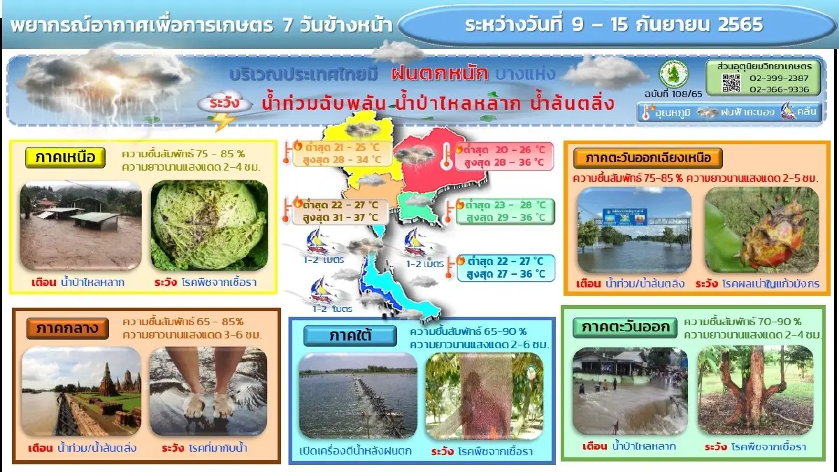 กรมอุตุฯ ประกาศฉบับ 13 เตือน 42 จว.ฝนยังตกหนัก คาด 14-15 ก.ย.นี้ จ่อฝนถล่มอีกรอบ