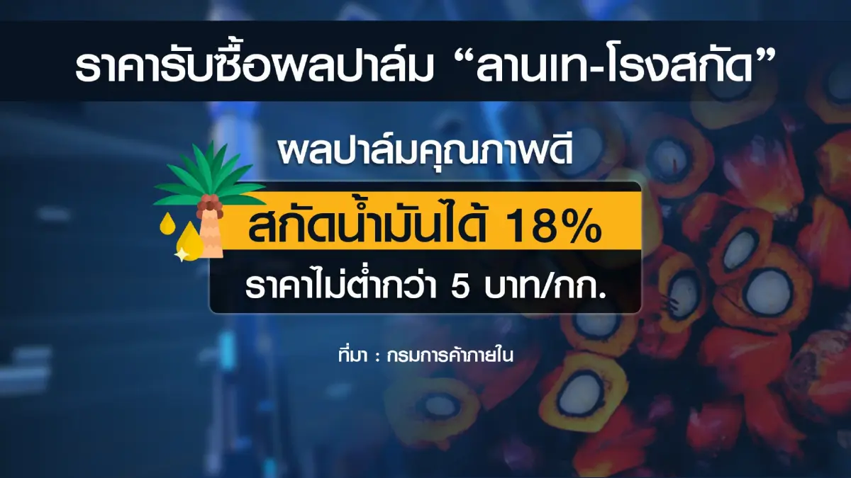 พาณิชย์ยัน 'ลานเท-โรงสกัด' รับซื้อปาล์มปกติ