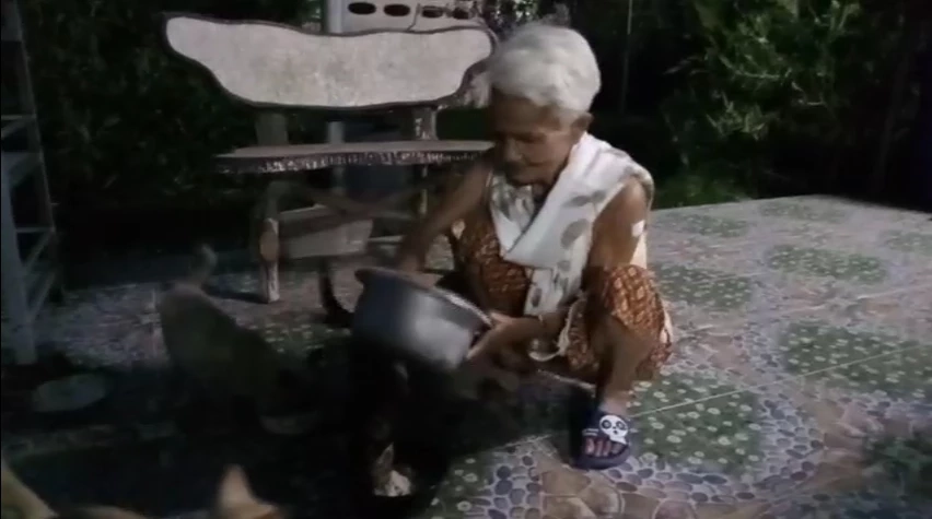 โนราห์แขมกลับบ้าน เลี้ยงแมว และไปงานศพที่ตัวเองถูกทำร้าย