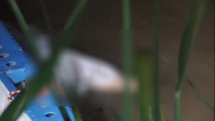 พบแล้วร่าง "น้องบิ๊ก" หลังระดมกู้ภัยทั้งจังหวัดค้นหากว่า 30 ชม.