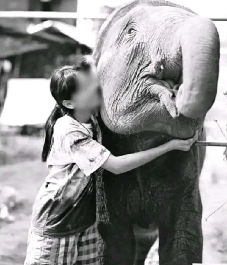 .ส.นิชาดา หรือ น้องฟิล์ม อายุ 17 ปี ยูทูปเบอร์คนเลี้ยงช้างชื่อดังที่บุรีรัมย์