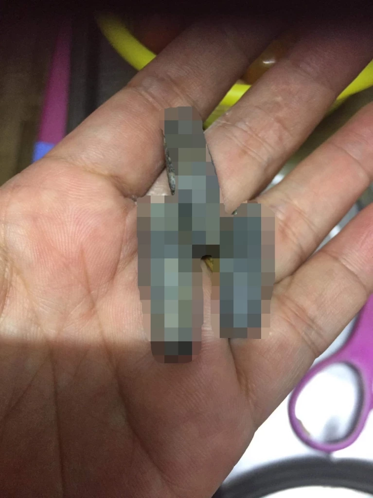 ผงะ ! ซื้อกุ้งในตลาดสดแม่สอด เจอลูกตะกั่วยัดไส้ 3 เม็ด ชาวบ้านแฉกลโกง