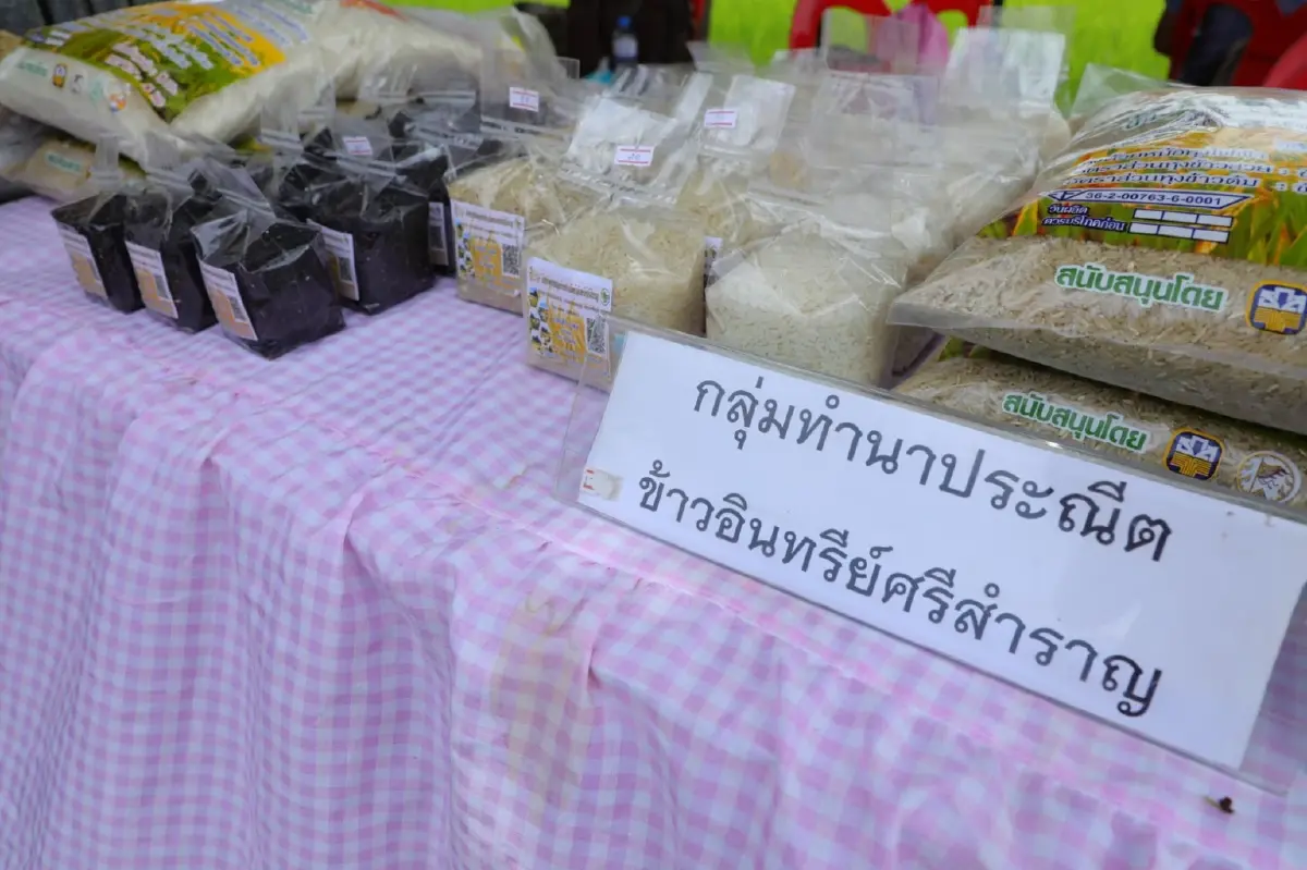 "กรมการข้าว" เยือน วิสาหกิจชุมชน บ้านโสก เยียมชมการผลิตข้าวคุณภาพส่งออก