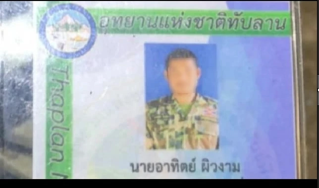 ช้างละมุด ช้างป่า เหยียบป่าไม้เสียชีวิต