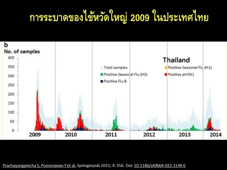 "หมอยง" ชี้โควิด19 กำลังจะเป็นไข้หวัดใหญ่ ระบาดช่วงไหน ตรงนี้มีคำตอบ