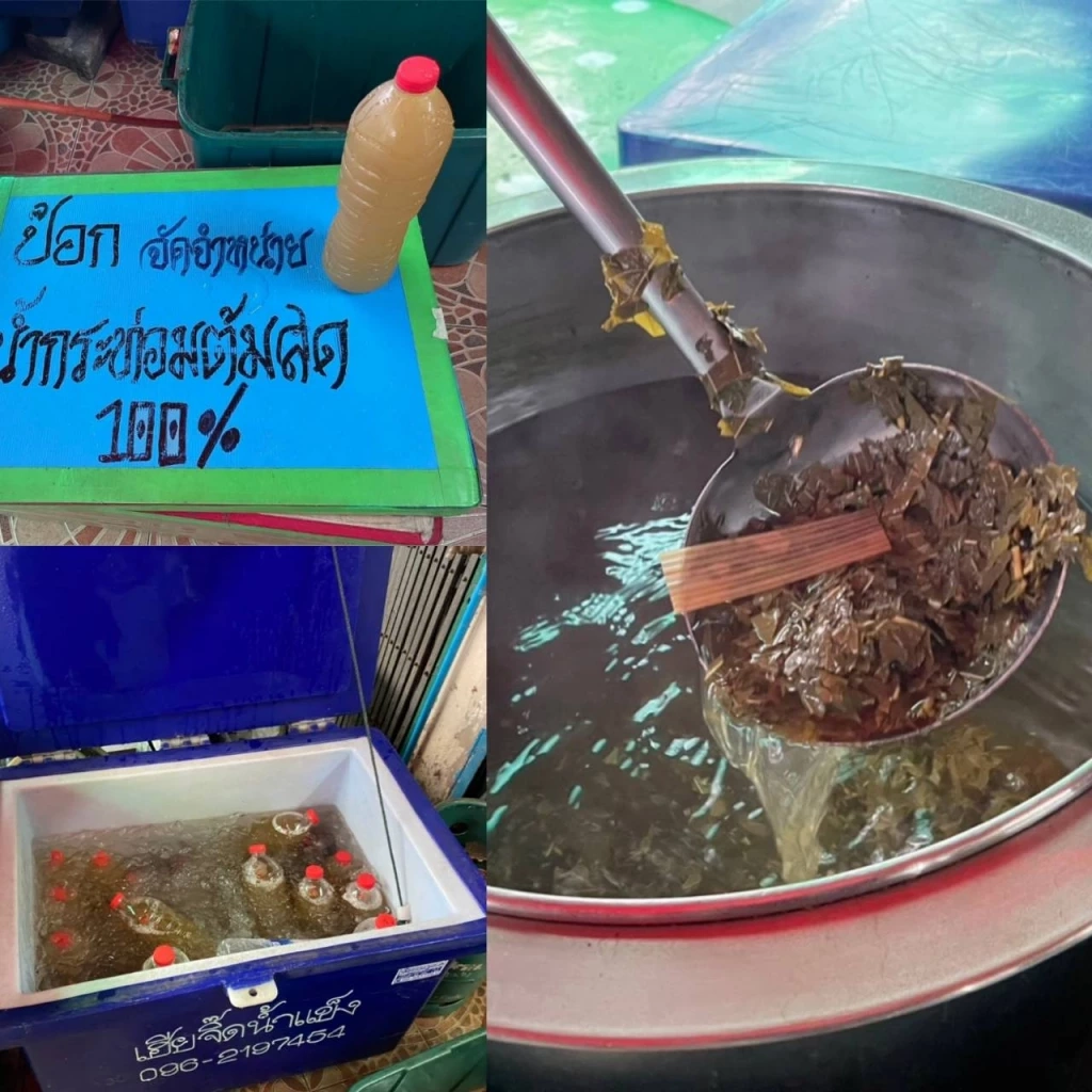 ปคบ.-อย. จับร้านขายยาลอบขายยาแก้ไอ“ฝาแดง”กลุ่มวัยรุ่น