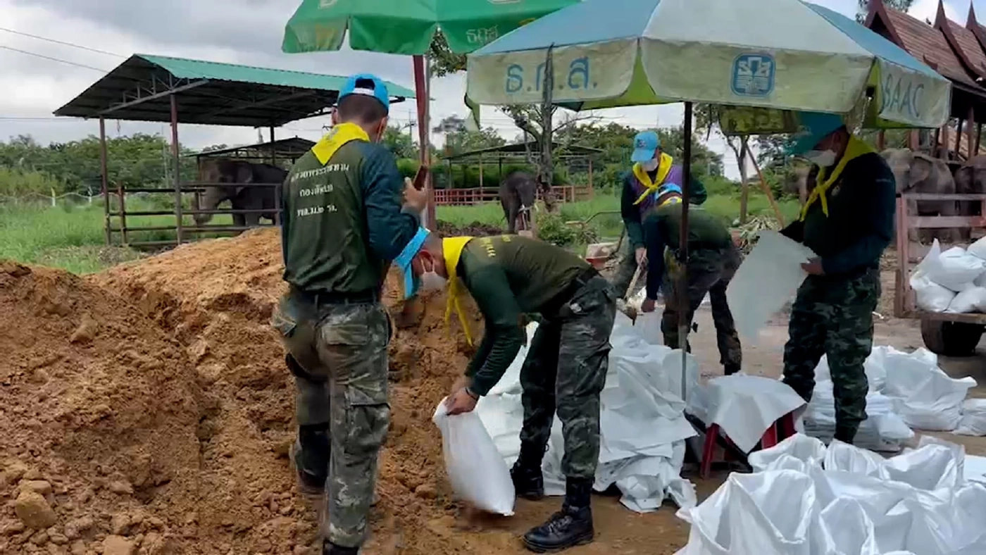 แม่น้ำลพบุรี จ่อท่วมเพนียดอยุธยา เตรียมย้ายช้างนับร้อยเชือกหนีน้ำ